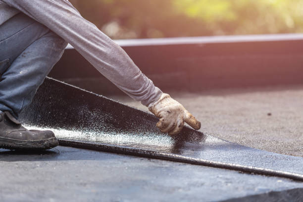 Professional Interior Drainage System technician working in Flat Rock, NC
